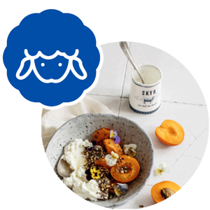 gamme brebis grandeur nature